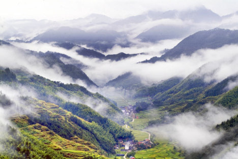 雷佳音荣膺金鸡奖影帝：才华横溢的璀璨时刻